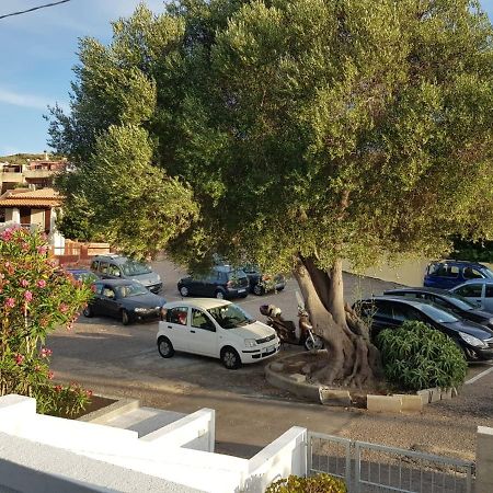 B&B Unique Art Santa Teresa Gallura Exteriör bild