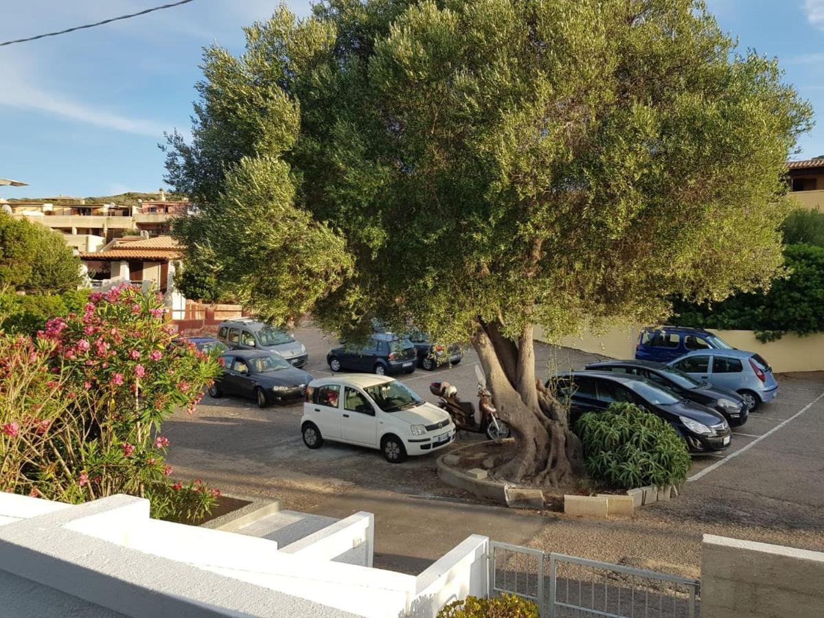 B&B Unique Art Santa Teresa Gallura Exteriör bild